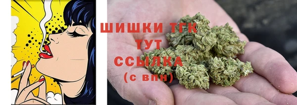 эйфоретик Краснослободск