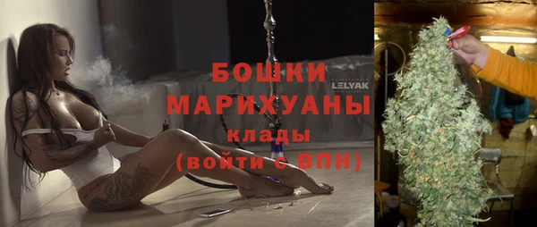 шишки Кодинск