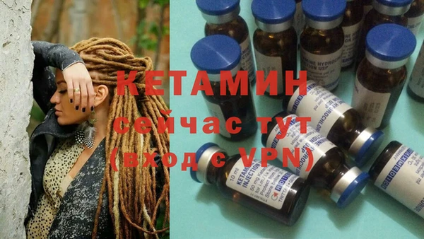 стафф Коряжма