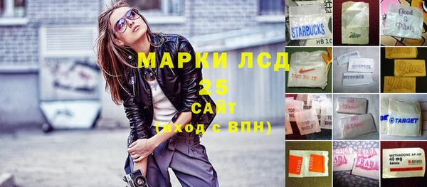 шишки Кодинск