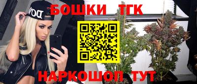 гидра Камышлов