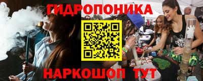 спиды Кандалакша