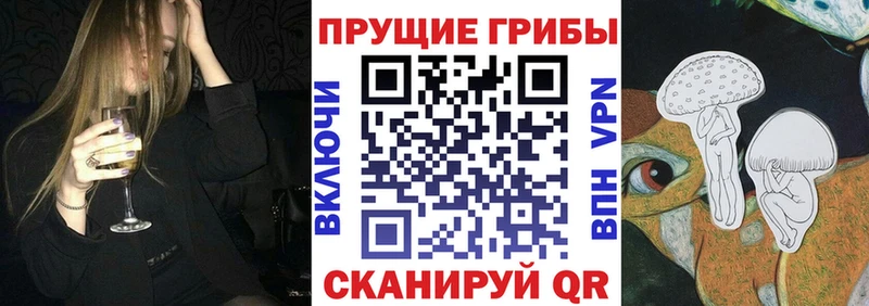 Галлюциногенные грибы мухоморы  дарнет шоп  OMG рабочий сайт  Кубинка 