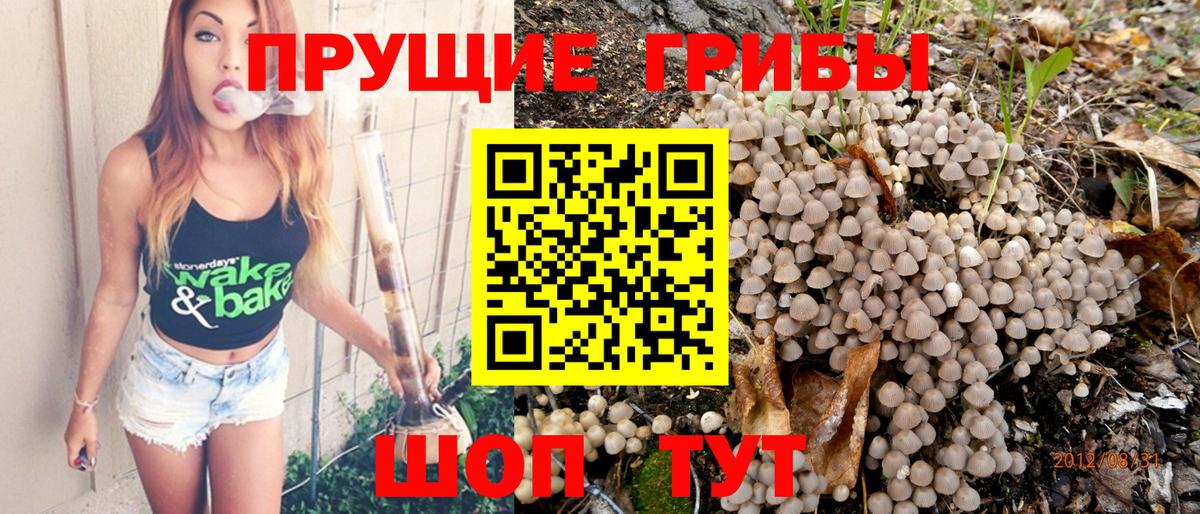 Галлюциногенные грибы MAGIC MUSHROOMS  Псилоцибиновые грибы MAGIC MUSHROOMS  Вход с VPN  Кубинка 