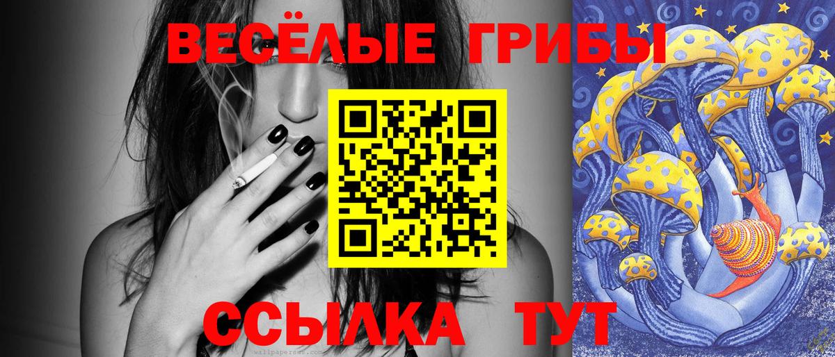 Псилоцибиновые грибы мицелий Кубинка